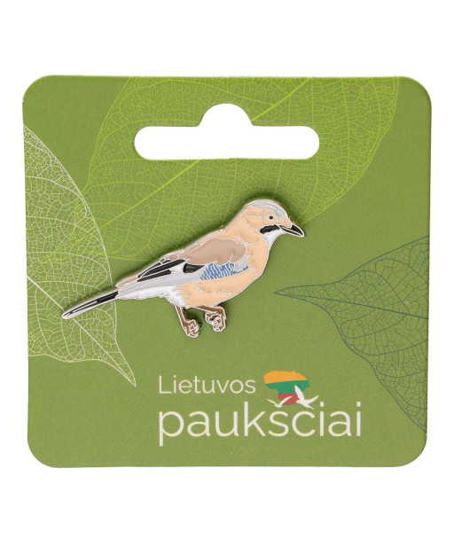 Pin Eurasian Jay
